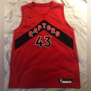 Toronto raptors Nike icon pascal siakam youth jersey sz xl